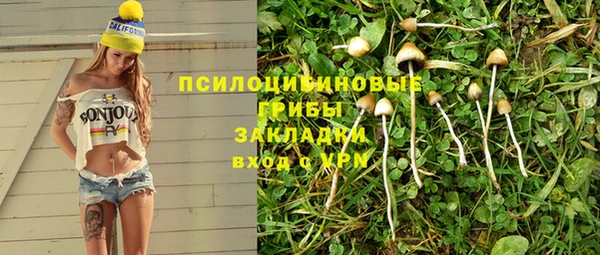 Альфа ПВП Баксан